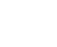 Evolution games at Money Reels Casino